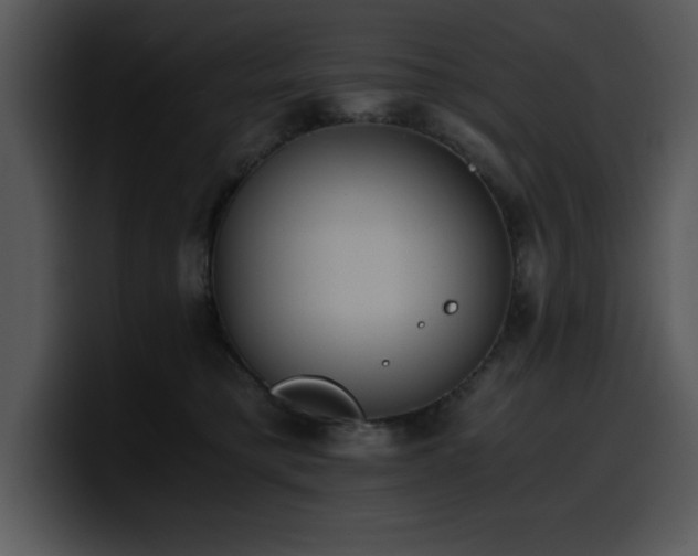 X0000100770421200806191245