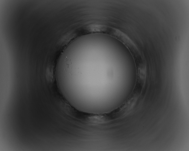 X0000100770422200806191245