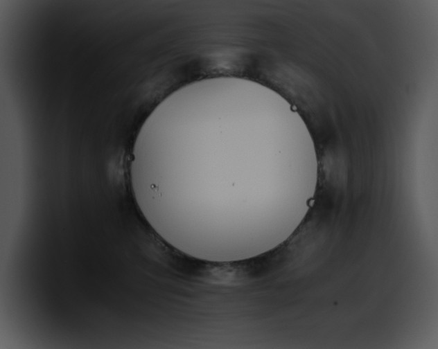 X0000100770423200806191245