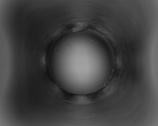 X0000100770424200806191245