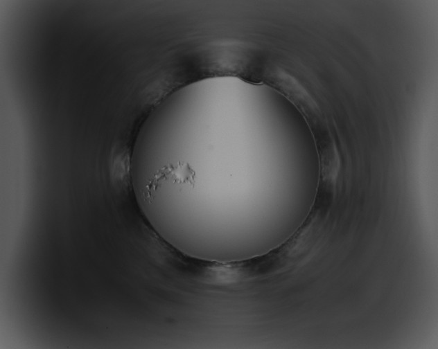 X0000100770425200806191245