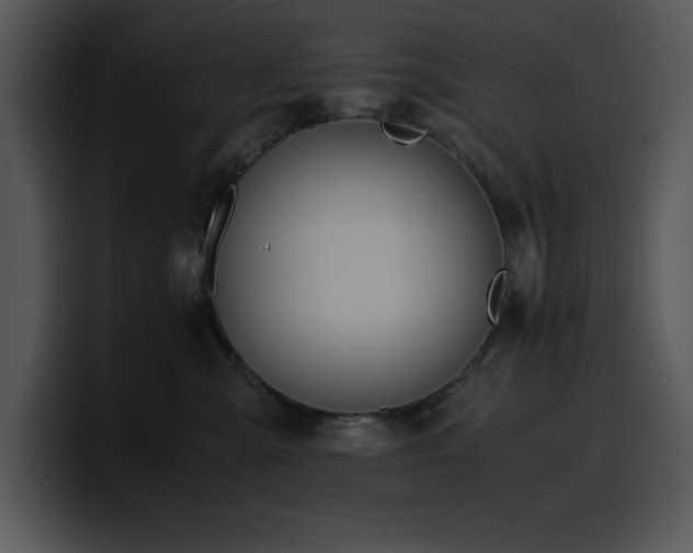X0000100770427200806191245