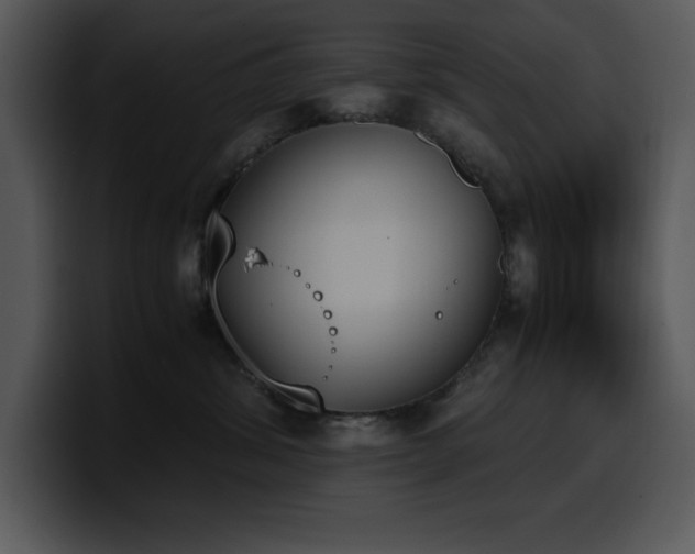 X0000100770428200806191245