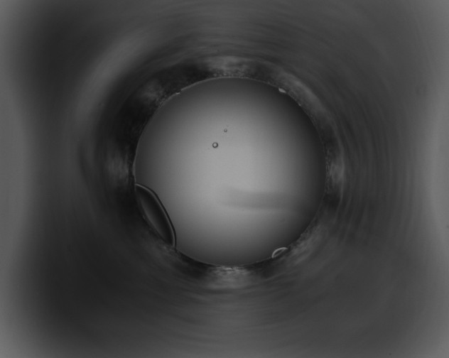 X0000100770429200806191245