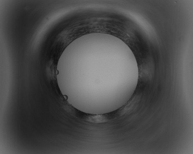 X0000100770431200806191245