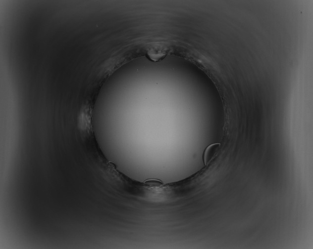 X0000100770432200806191245