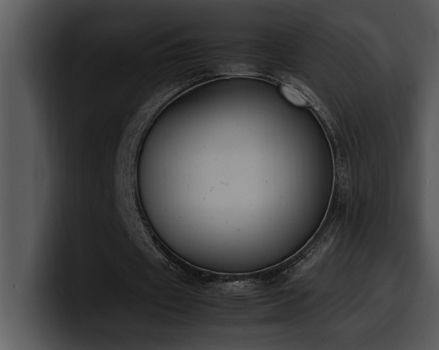 X0000100770433200806191244