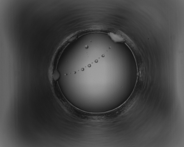 X0000100770436200806191244
