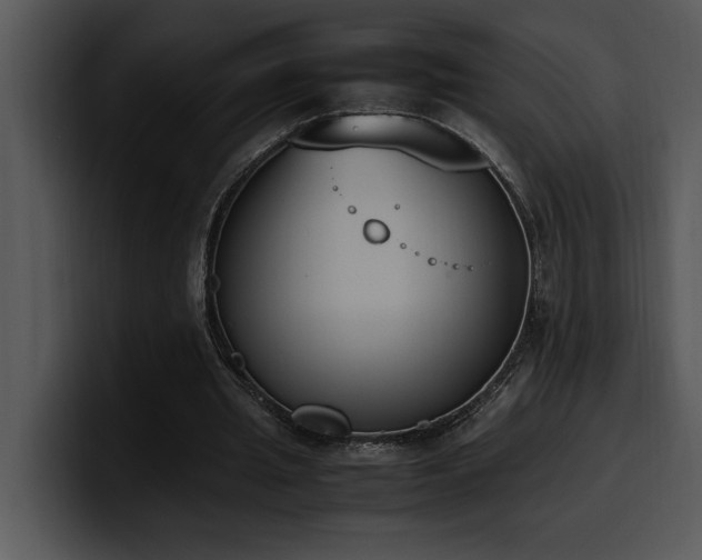 X0000100770437200806191244