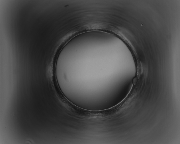 X0000100770438200806191244
