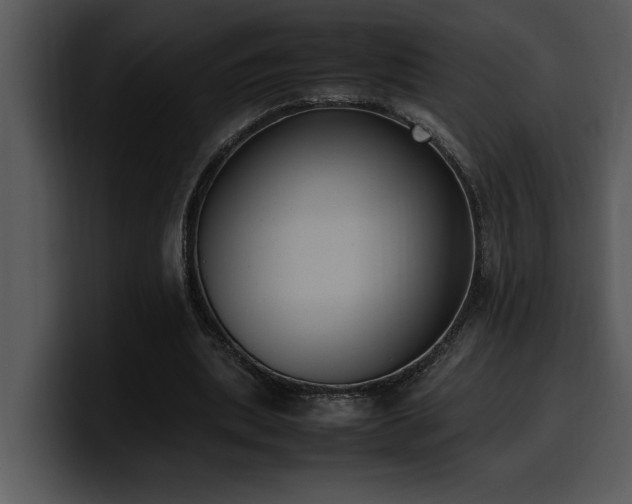 X0000100770439200806191244