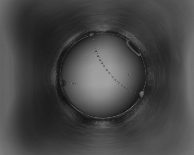 X0000100770440200806191244
