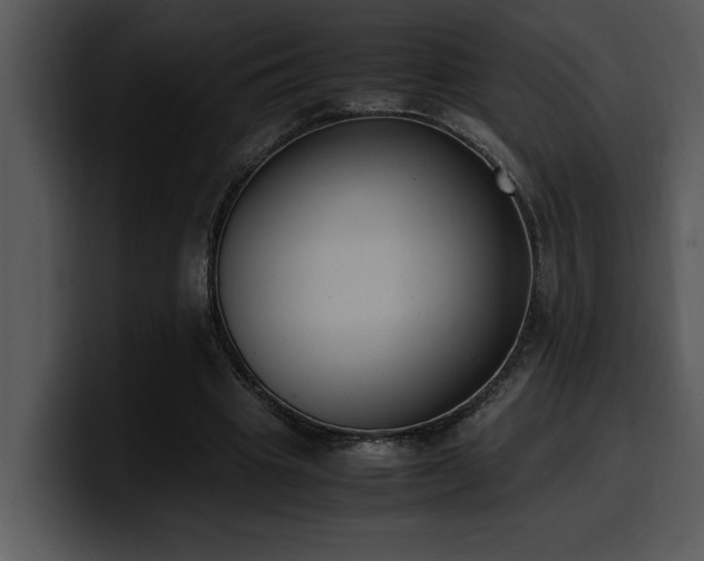 X0000100770441200806191244