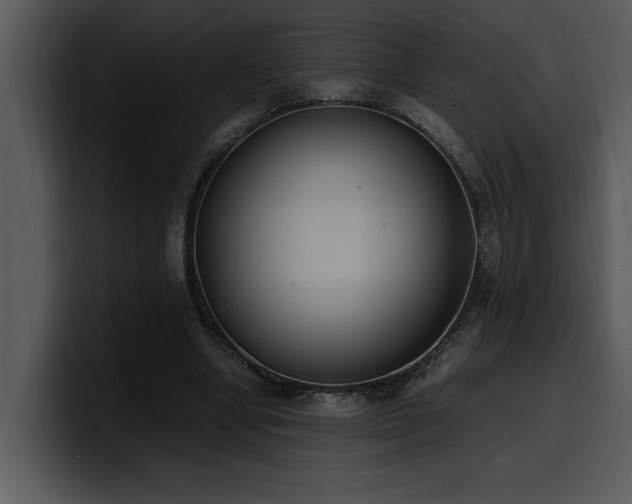 X0000100770442200806191244