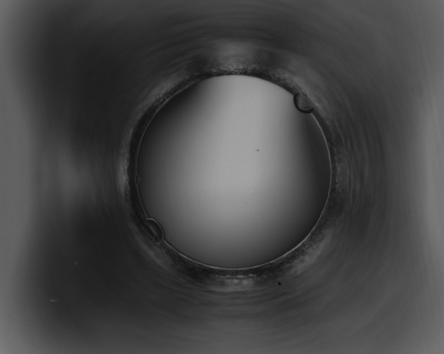 X0000100770443200806191244