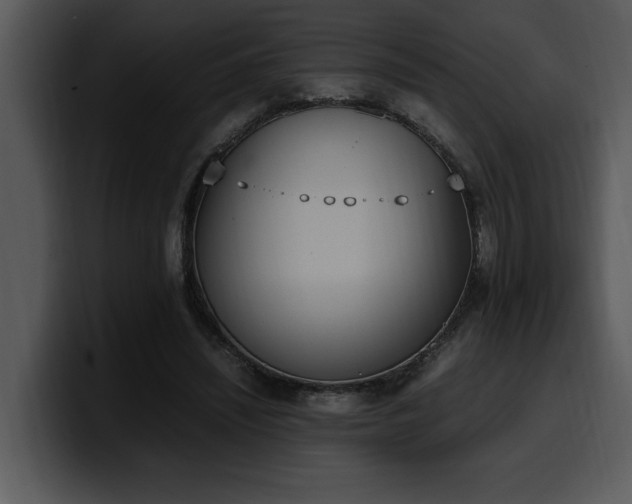 X0000100770444200806191244