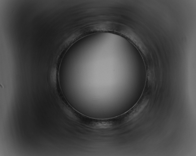 X0000100770445200806191244