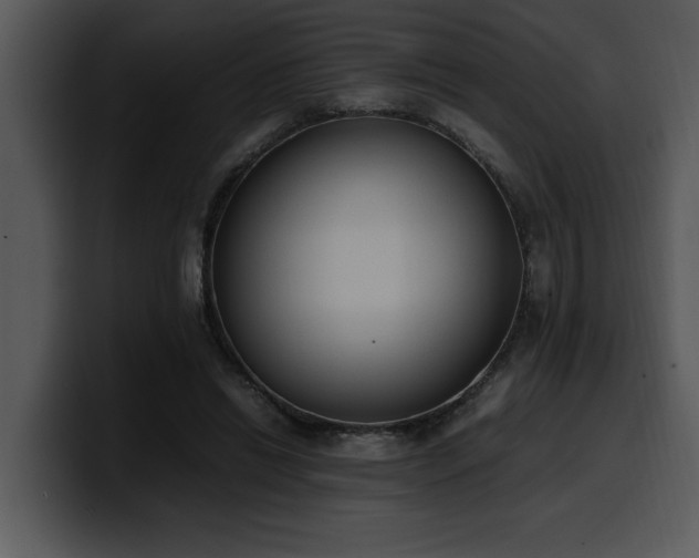 X0000100770446200806191244