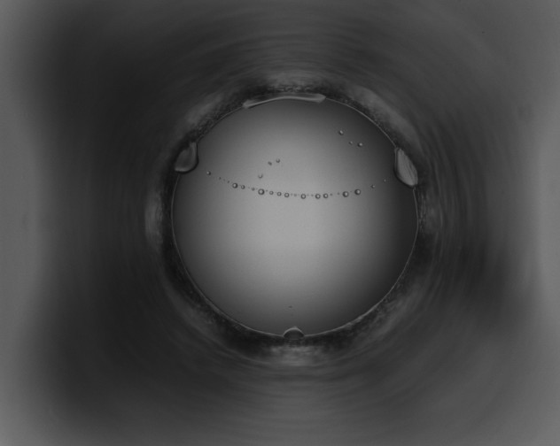 X0000100770448200806191244