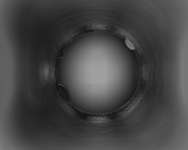 X0000100770449200806191244