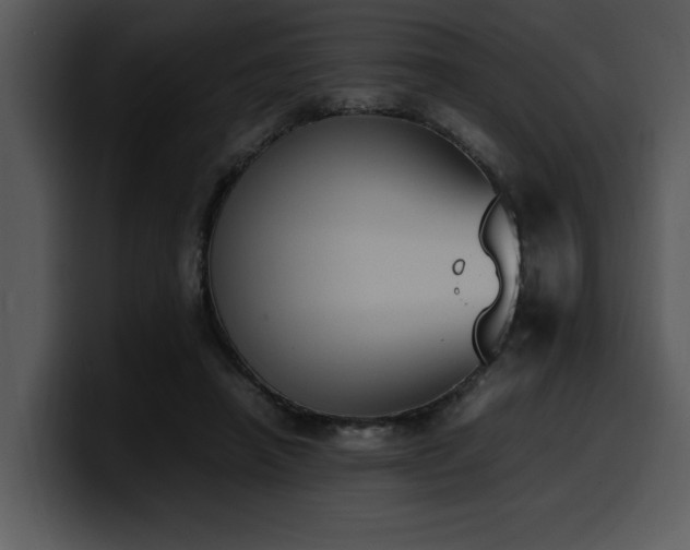 X0000100770450200806191244
