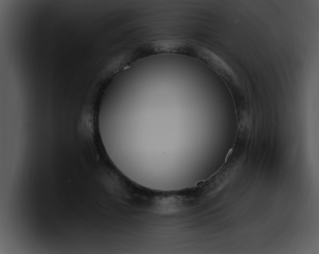 X0000100770452200806191245