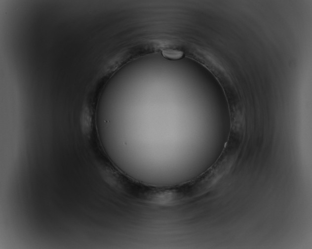 X0000100770456200806191245