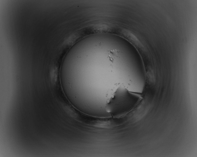 X0000100770458200806191245