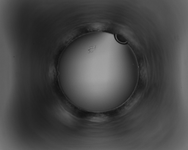 X0000100770459200806191245