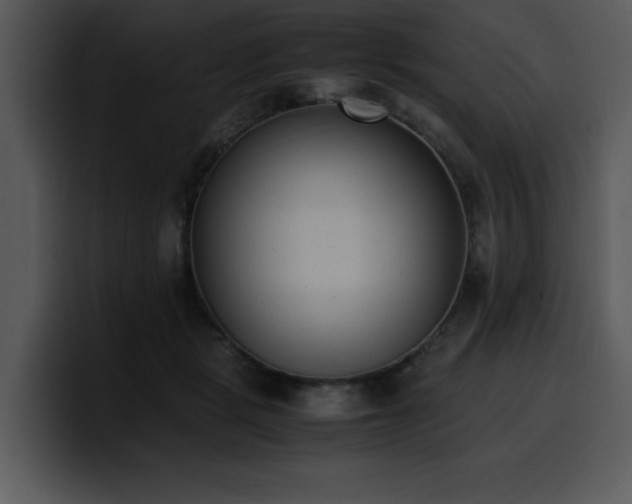X0000100770461200806191245