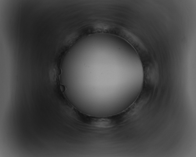 X0000100770463200806191245