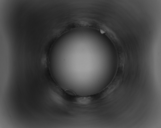 X0000100770465200806191245
