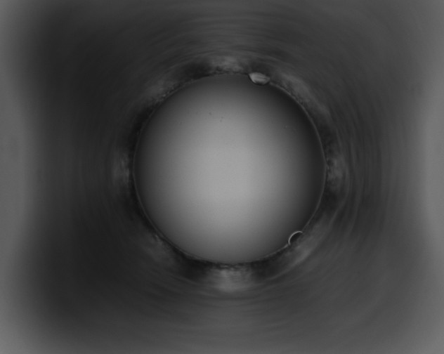 X0000100770466200806191245