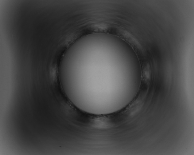 X0000100770468200806191245