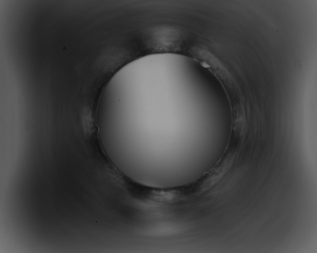 X0000100770469200806191245