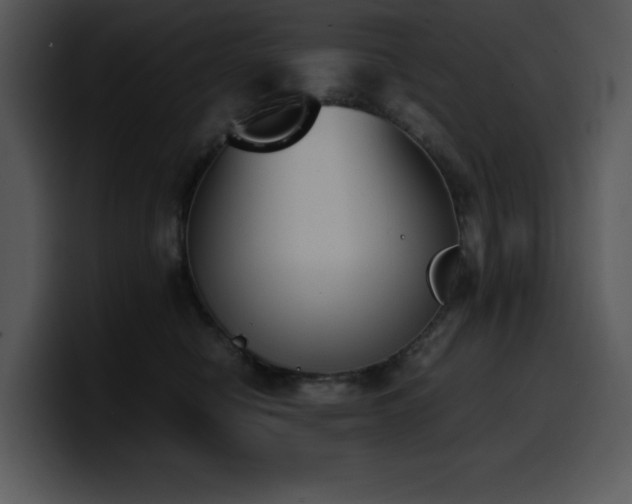 X0000100770470200806191245
