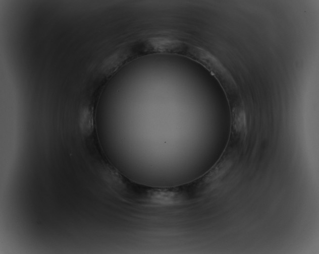 X0000100770471200806191245
