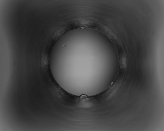 X0000100770472200806191245