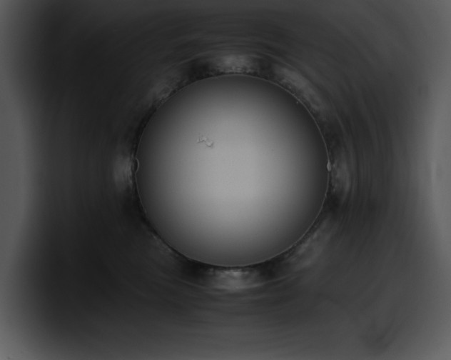 X0000100770473200806191245