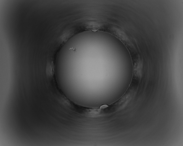 X0000100770474200806191245
