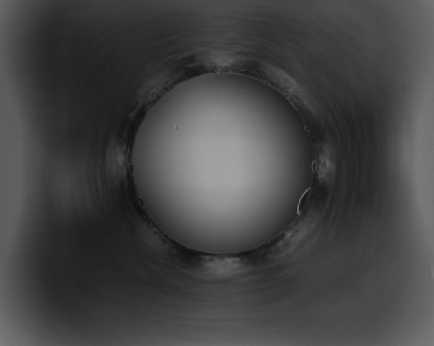 X0000100770476200806191245