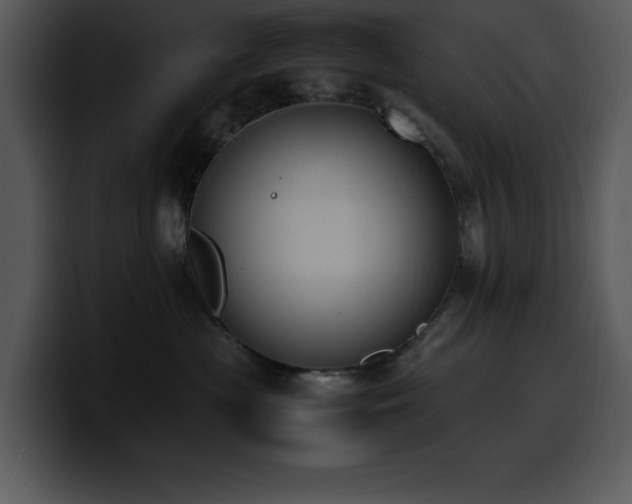 X0000100770477200806191245
