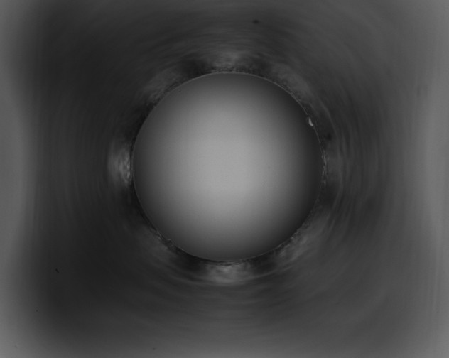 X0000100770479200806191245