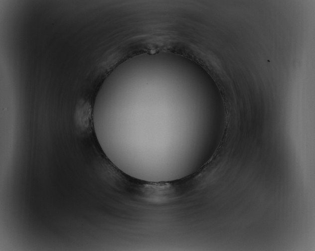 X0000100770480200806191245