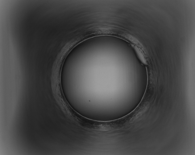 X0000100770481200806191244