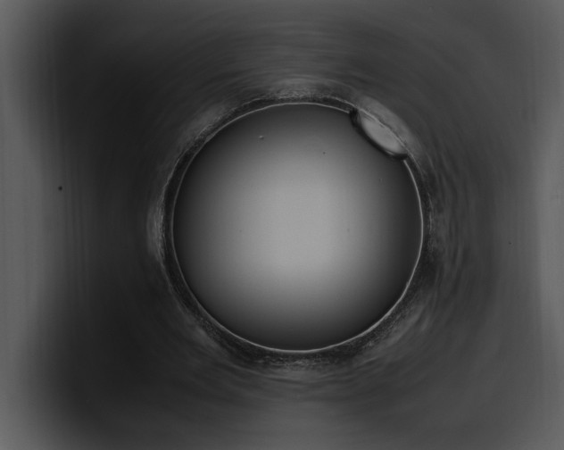 X0000100770485200806191244