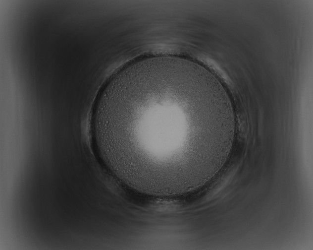 X0000100770487200806191244