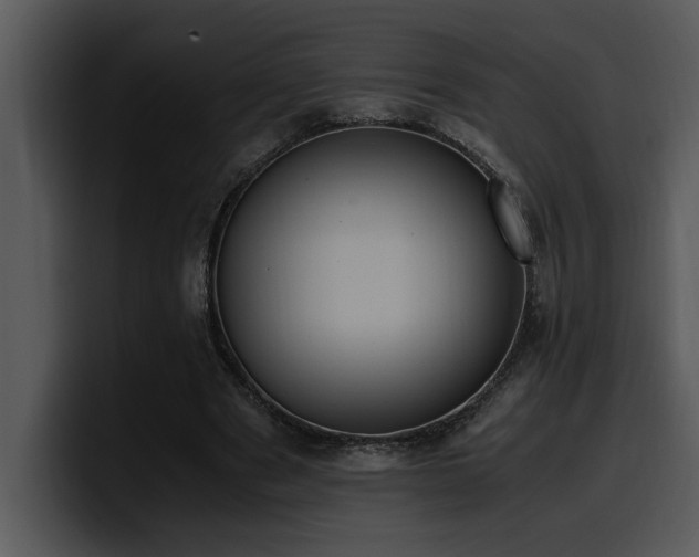 X0000100770489200806191244