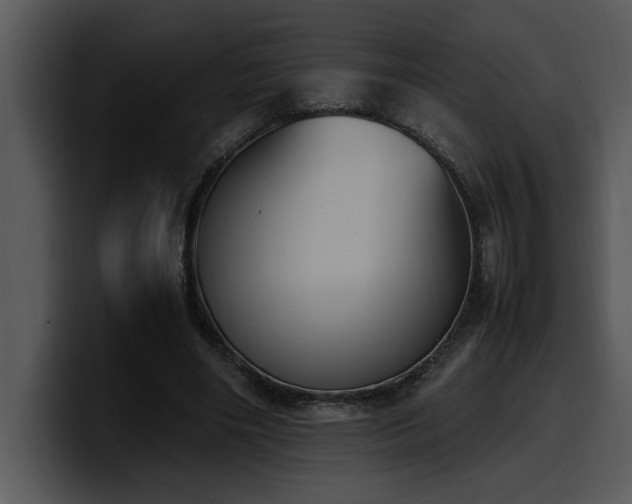 X0000100770490200806191244