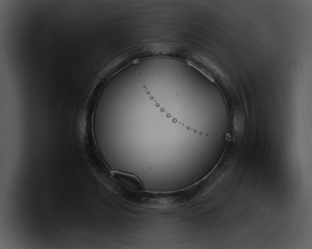 X0000100770492200806191244